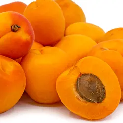 نهال زردآلو‌ی مازندران