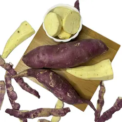 گیاه سیب زمینی شیرین بنفش