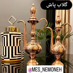 گلاب پاش سایز 1 ارتفاع 29 با نانو