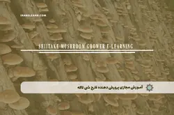 آموزش مجازی پرورش دهنده قارچ شی تاکه | آموزش مجازی | مدرک معتبر | ایباما: IranElearn.com
