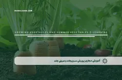 آموزش مجازی پرورش سبزیجات و صیفی جات | آموزش مجازی | مدرک معتبر | ایباما: IranElearn.com