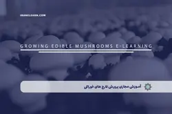 آموزش مجازی پرورش قارچ های خوراکی | آموزش مجازی | مدرک معتبر | ایباما: IranElearn.com