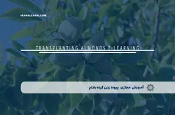 آموزش مجازی پیوند زدن گیاه بادام | آموزش مجازی | مدرک معتبر | ایباما: IranElearn.com