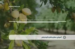 آموزش مجازی تغذیه گیاه بادام | آموزش مجازی | مدرک معتبر | ایباما: IranElearn.com