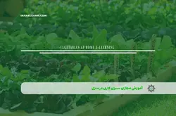 آموزش مجازی سبزی کاری در منزل | آموزش مجازی | مدرک معتبر | ایباما: IranElearn.com