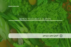 آموزش مجازی سبزی کاری | آموزش مجازی | مدرک معتبر | ایباما: IranElearn.com
