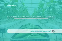 آموزش مجازی كشتكار گلخانه ای خيار | آموزش مجازی | مدرک معتبر | ایباما: IranElearn.com