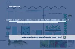 آموزش مجازی کشت کار آکواپونیک (پرورش توأم ماهی و گیاه) | آموزش مجازی | مدرک معتبر | ایباما: IranElearn.com
