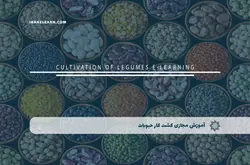 آموزش مجازی کشت کار حبوبات | آموزش مجازی | مدرک معتبر | ایباما: IranElearn.com