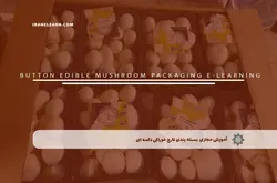 آموزش مجازی بسته بندی قارچ خوراکی دکمه ای | آموزش مجازی | مدرک معتبر | ایباما: IranElearn.com
