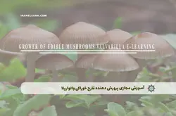 آموزش مجازی پرورش دهنده قارچ خوراکی والواریلا | آموزش مجازی | مدرک معتبر | ایباما: IranElearn.com