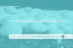 آموزش مجازی پرورش دهنده قارچ دکمه ‏ای | آموزش مجازی | مدرک معتبر | ایباما: IranElearn.com