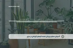 آموزش مجازی پرورش دهنده گیاهان آپارتمانی در منزل | آموزش مجازی | مدرک معتبر | ایباما: IranElearn.com