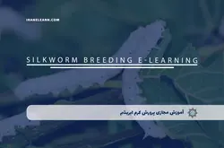 آموزش مجازی پرورش کرم ابریشم | آموزش مجازی | مدرک معتبر | ایباما: IranElearn.com