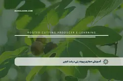 آموزش مجازی پیوند زنی درخت انجیر | آموزش مجازی | مدرک معتبر | ایباما: IranElearn.com