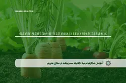 آموزش مجازی تولید ارگانیک سبزیجات در منازل شهری | آموزش مجازی | مدرک معتبر | ایباما: IranElearn.com