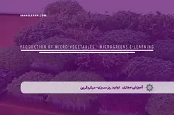 آموزش مجازی تولید ریز سبزی- میکروگرین | آموزش مجازی | مدرک معتبر | ایباما: IranElearn.com