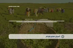 آموزش مجازی چای کار | آموزش مجازی | مدرک معتبر | ایباما: IranElearn.com