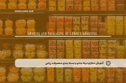 آموزش مجازی درجه بندی و بسته بندی محصولات زراعی | آموزش مجازی | مدرک معتبر | ایباما: IranElearn.com