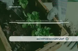 آموزش مجازی دستیار تولید کننده سبزی | آموزش مجازی | مدرک معتبر | ایباما: IranElearn.com