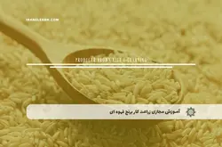 آموزش مجازی زراعت کار برنج قهوه ای | آموزش مجازی | مدرک معتبر | ایباما: IranElearn.com