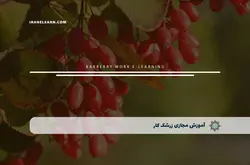 آموزش مجازی زرشک کار | آموزش مجازی | مدرک معتبر | ایباما: IranElearn.com