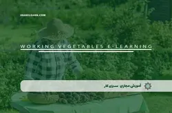 آموزش مجازی سبزی کار | آموزش مجازی | مدرک معتبر | ایباما: IranElearn.com