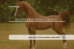آموزش مجازی سوارکاری مبتدی اسب های سواری | آموزش مجازی | مدرک معتبر | ایباما: IranElearn.com