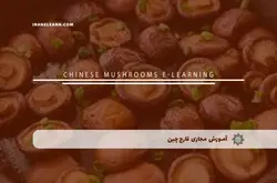 آموزش مجازی قارچ چین | آموزش مجازی | مدرک معتبر | ایباما: IranElearn.com