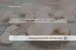 آموزش مجازی کارگر سالن های پرورش قارچ دکمه ای | آموزش مجازی | مدرک معتبر | ایباما: IranElearn.com