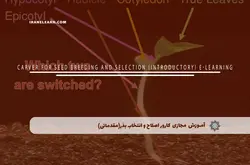 آموزش مجازی کارور اصلاح و انتخاب بذر(مقدماتی) | آموزش مجازی | مدرک معتبر | ایباما: IranElearn.com