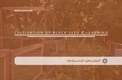 آموزش مجازی کشت سیاه دانه | آموزش مجازی | مدرک معتبر | ایباما: IranElearn.com
