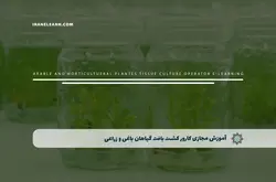 آموزش مجازی کارور کشت بافت گیاهان باغی و زراعی | آموزش مجازی | مدرک معتبر | ایباما: IranElearn.com