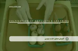 آموزش مجازی کشت موسیر | آموزش مجازی | مدرک معتبر | ایباما: IranElearn.com