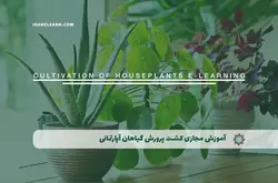 آموزش مجازی کشت و پرورش گیاهان آپارتمانی | آموزش مجازی | مدرک معتبر | ایباما: IranElearn.com