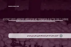 آموزش مجازی کمک کارور آزمایشگاه تلقیح و تکثیر قارچ دکمه ای | آموزش مجازی | مدرک معتبر | ایباما: IranElearn.com