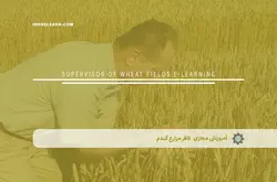 آموزش مجازی ناظر مزارع گندم | آموزش مجازی | مدرک معتبر | ایباما: IranElearn.com