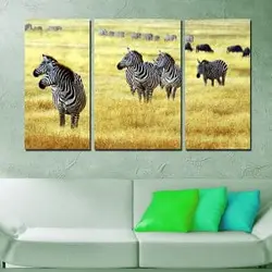 تابلو دیواری 3 تکه کد TA0903 | چاپ از ما