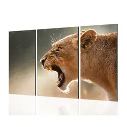 تابلو دیواری 3 تکه کد TA0907 | چاپ از ما