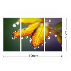 تابلو دیواری 3 تکه کد TA0910 | چاپ از ما