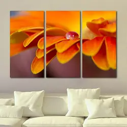 تابلو دیواری 3 تکه کد TA1010 | چاپ از ما