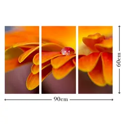 تابلو دیواری 3 تکه کد TA1010 | چاپ از ما