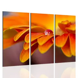 تابلو دیواری 3 تکه کد TA1010 | چاپ از ما