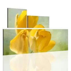 تابلو دیواری 3 تکه کد TA2704 | چاپ از ما