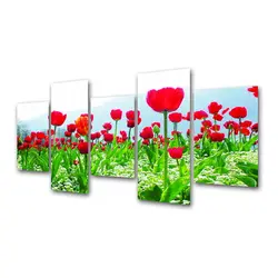 تابلو دیواری 5 تکه کد TA3007 | چاپ از ما