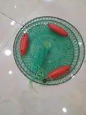 سبد زنده نگهدار سایز ۴۵