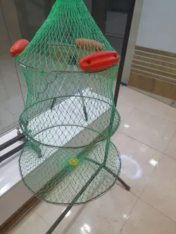 زنده نگهدار سایز ۵۰