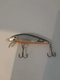 لور قزلی عمید