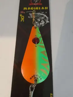 قاشقک ۲۳ گرمی مجیکان