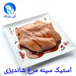 استیک سینه مرغ شاندیزی